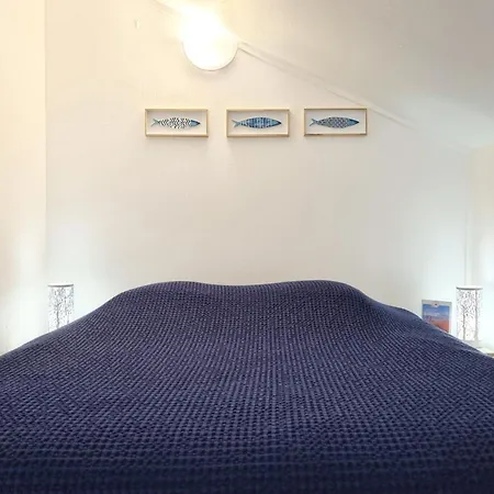 La Marina - Vue - - Marina Et Casino