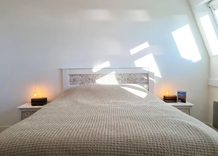 La Marina - Vue - - Marina Et Casino * Deauville